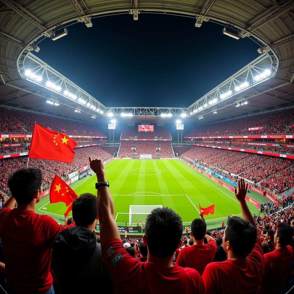 Vietnamese and Chinese Football Fans