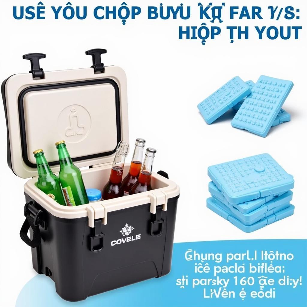 Thùng đá Hiệp Thành 24L được sử dụng kèm đá khô để tăng hiệu quả giữ lạnh