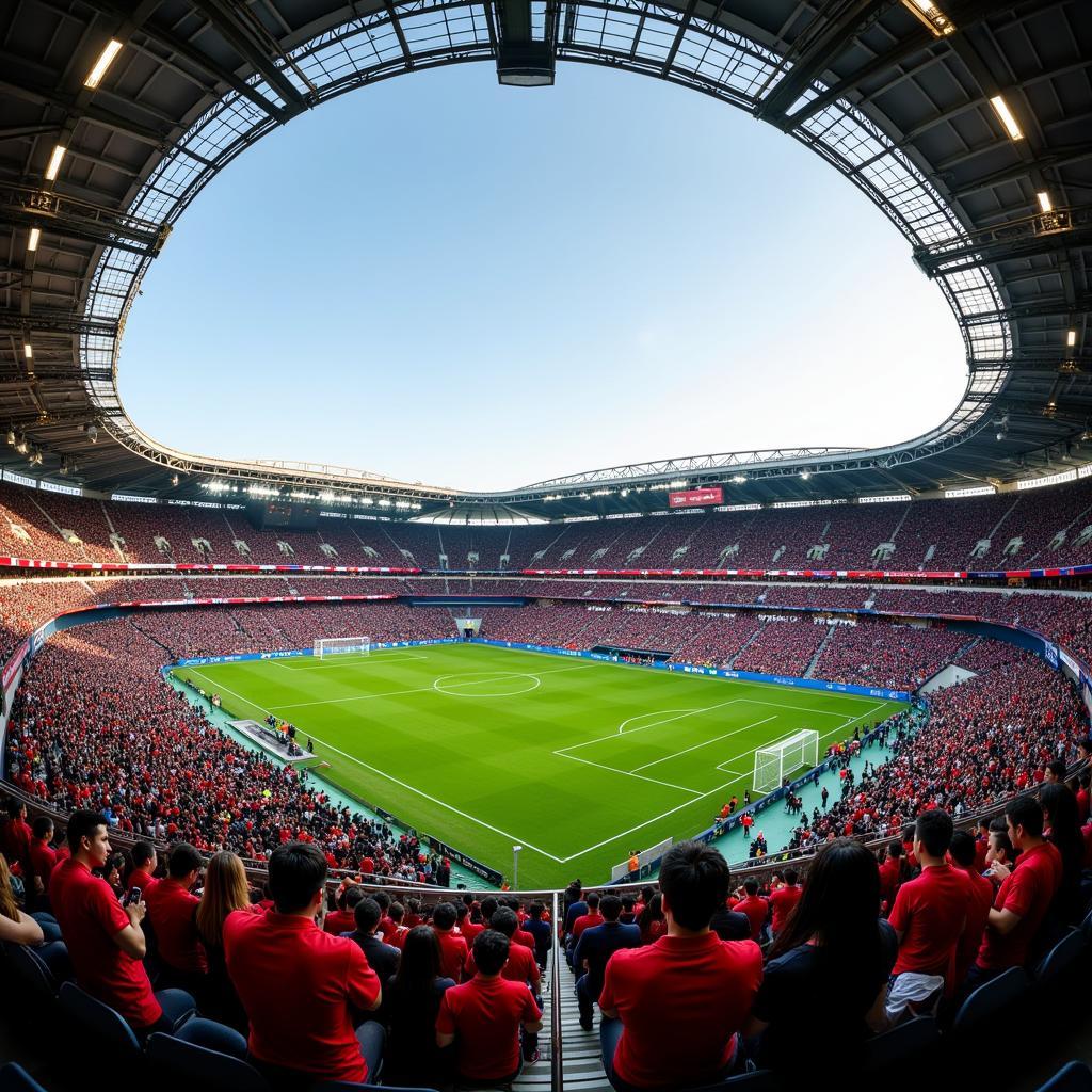 Nhật Bản và Costa Rica tại World Cup