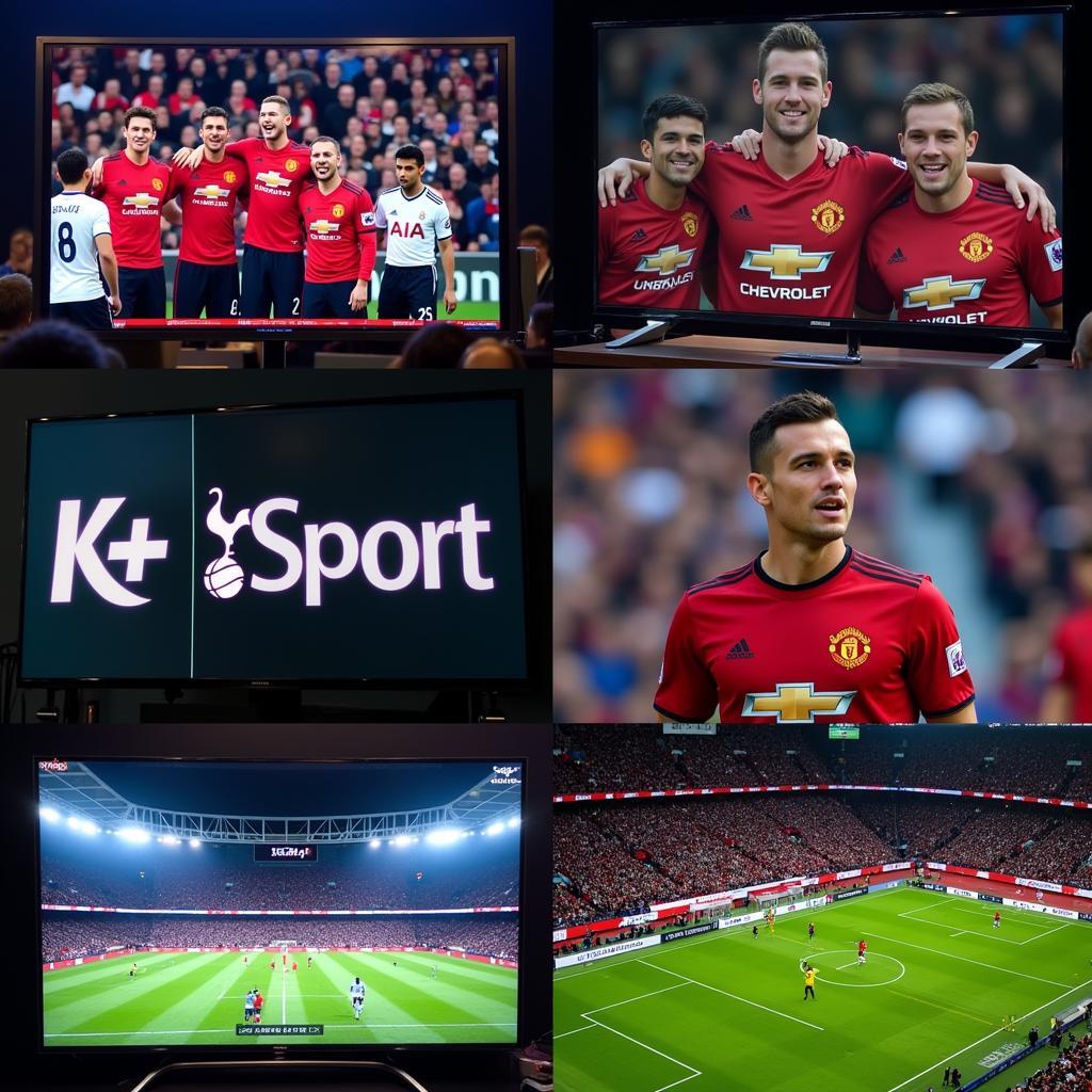 Xem Tottenham vs Manchester United Trực Tuyến