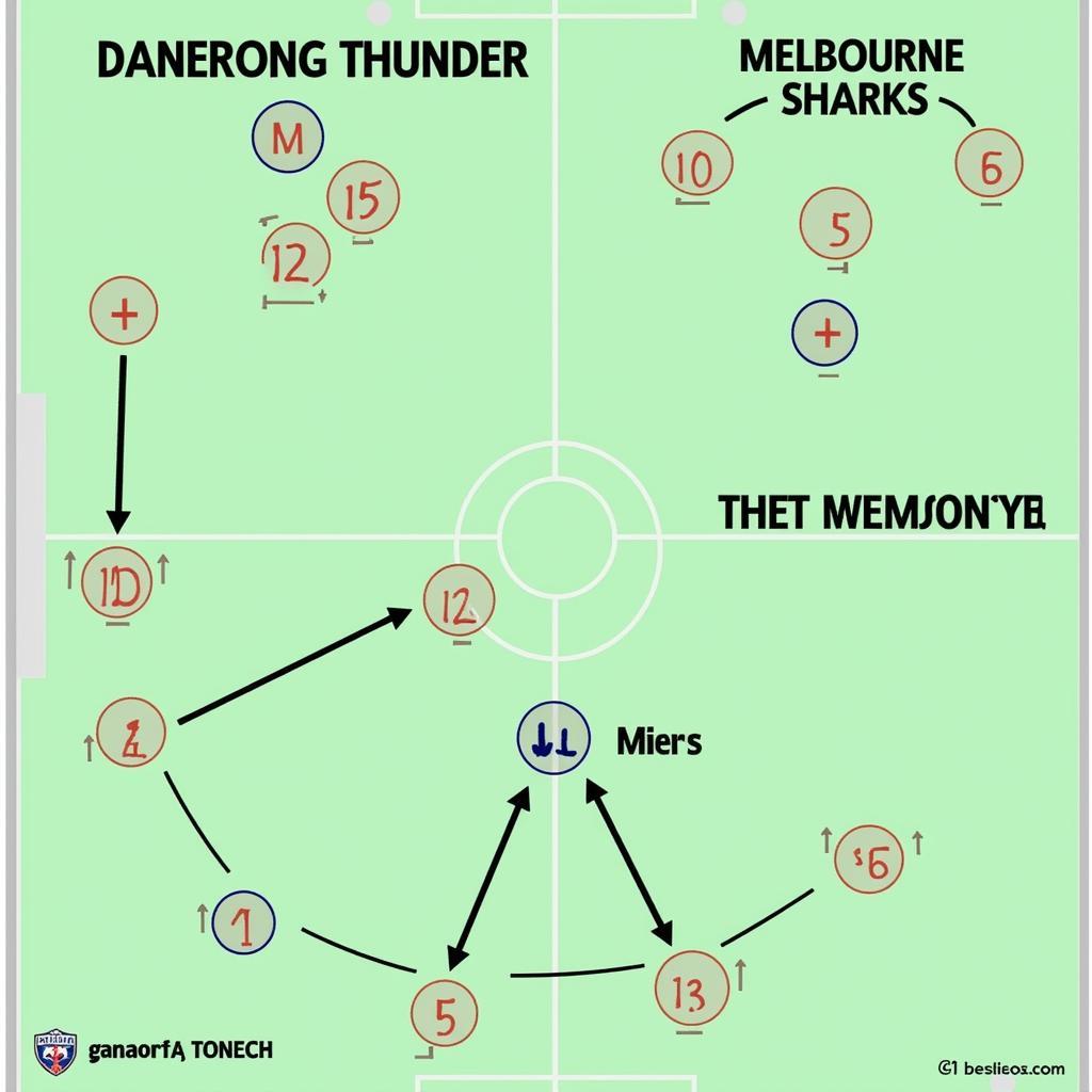 Chiến thuật dự kiến của Dandenong Thunder và Port Melbourne Sharks