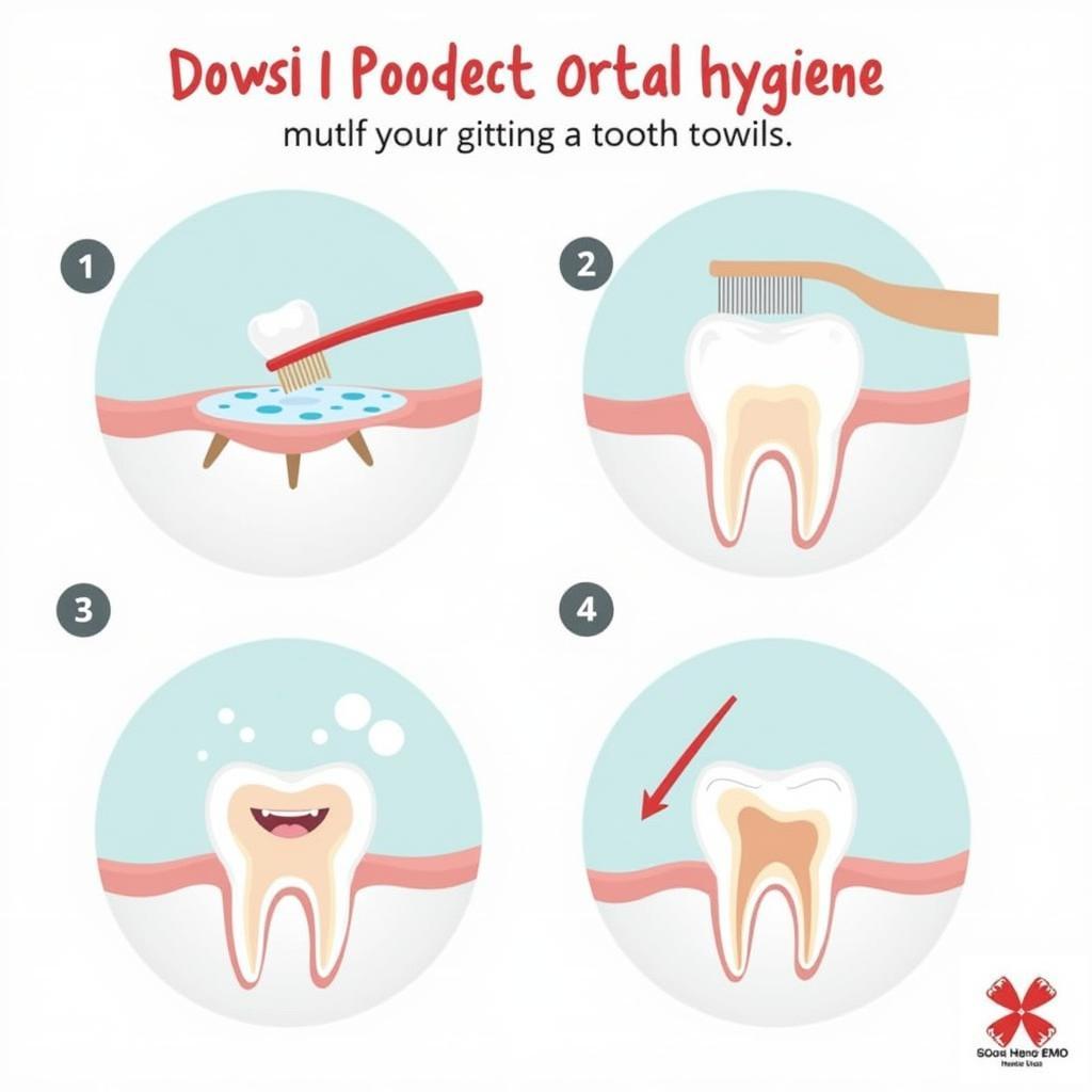 Chăm sóc răng miệng sau khi đính đá