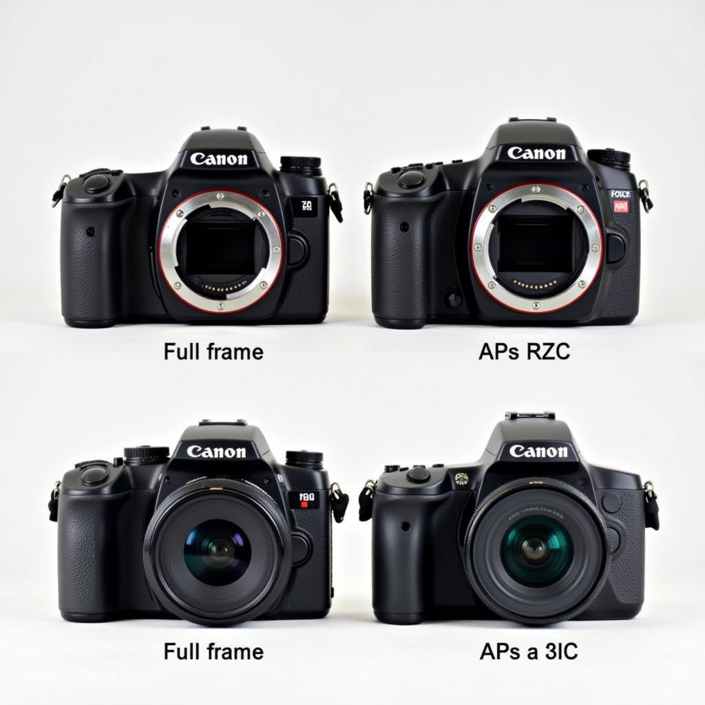 So sánh Kích Thước Máy Ảnh Full Frame và APS-C